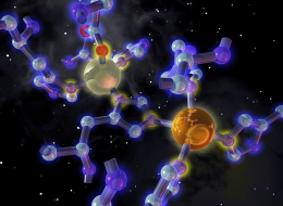 Enzyme superoxyde dismutase (SOD)